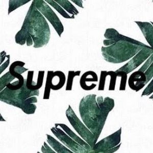 Meet your Posher, Raegan